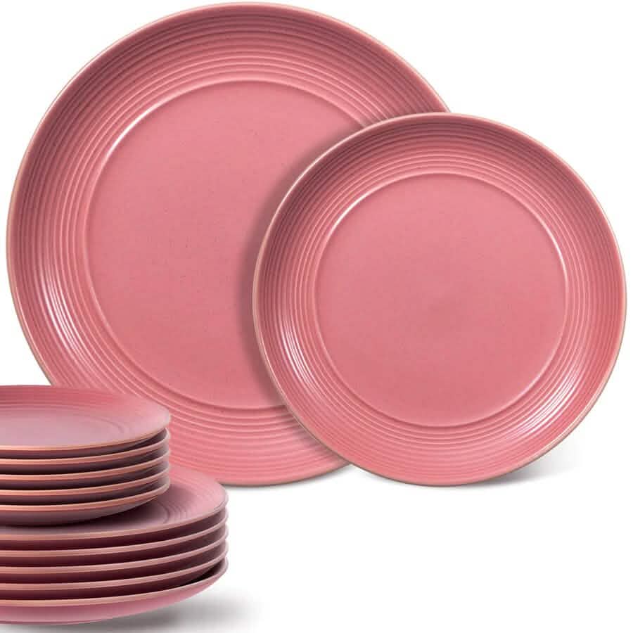 12-Piece: HITECLIFE Microwave and Dishwasher Safe Dinner Plates Set DailySale
