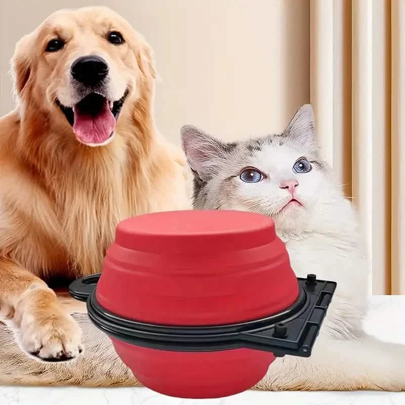 2-in-1 Collapsible Double Dog Bowl DailySale