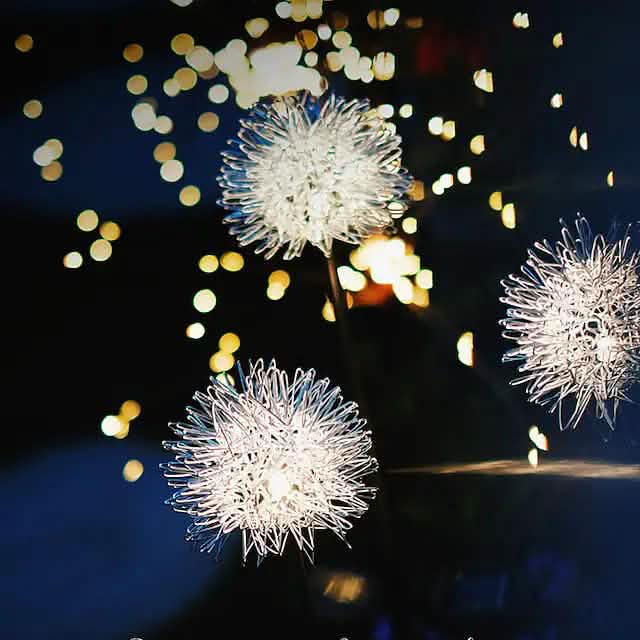 2-Pack: Outdoor Solar Dandelion Lawn Lights DailySale