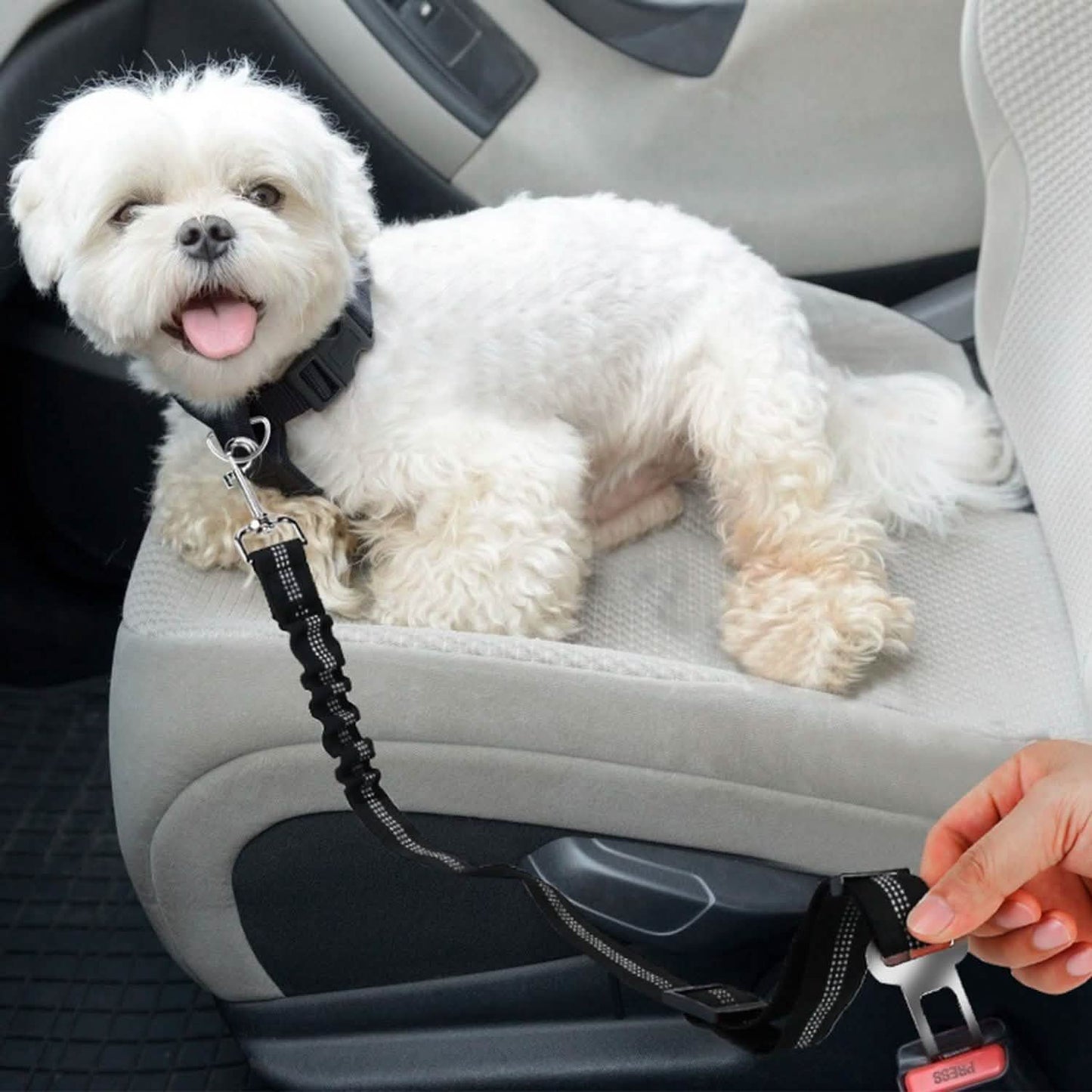 2-Piece: Pet Car Safety Seatbelt DailySale