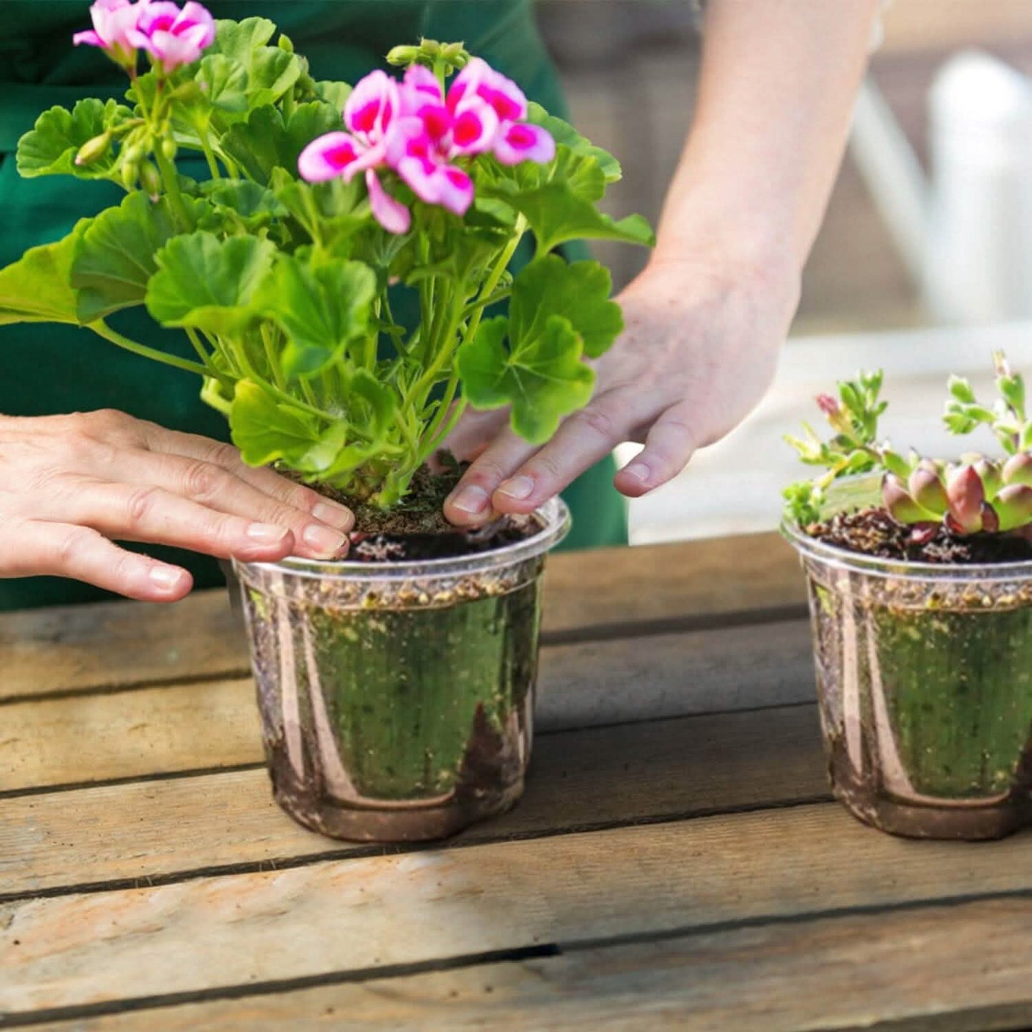 30-Pieces: Plant Nursery Pots PET Flower Seed Starting Pots Container with Dome Drainage Holes DailySale