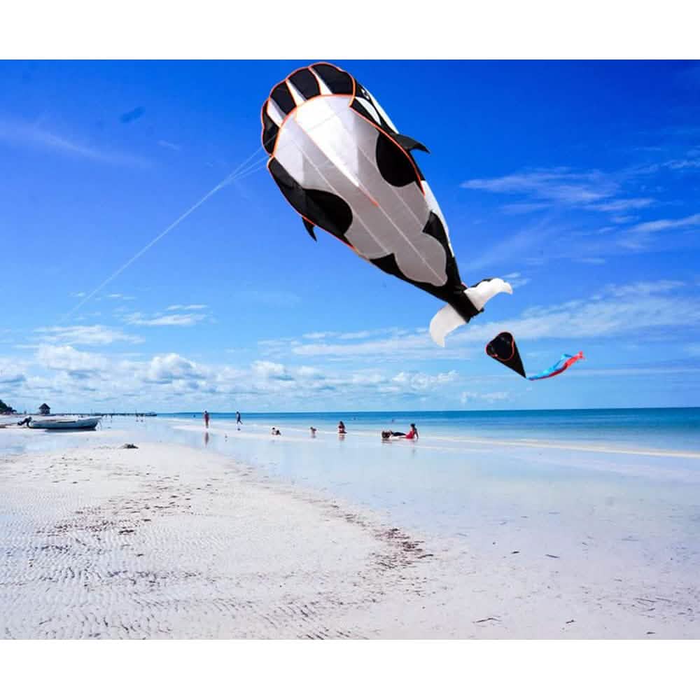 3D Whale Kite for Kids and Adults DailySale