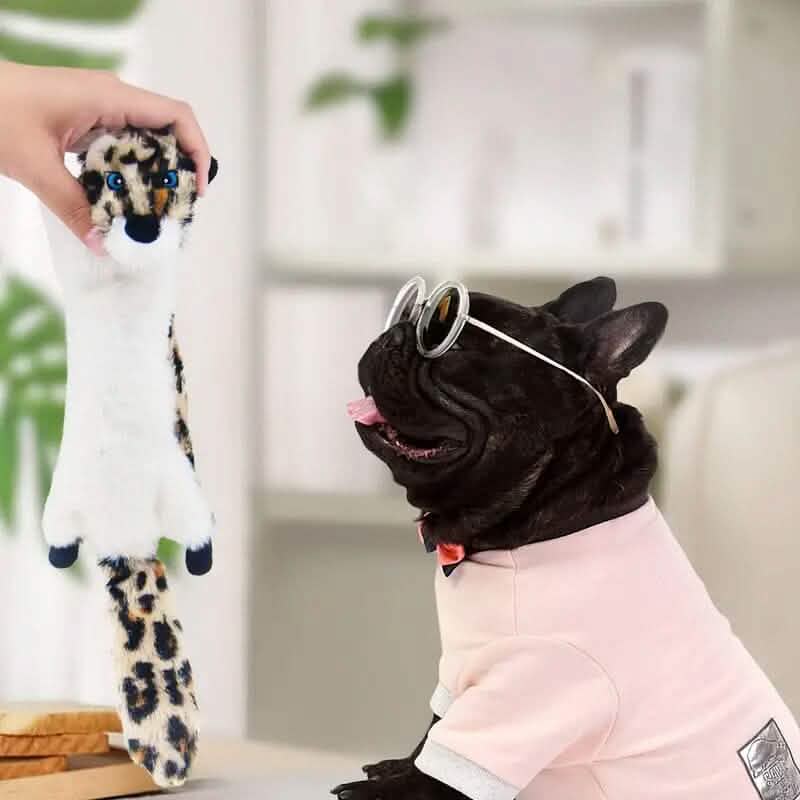 6-Pack: Durable Squeaky Dog Toys DailySale