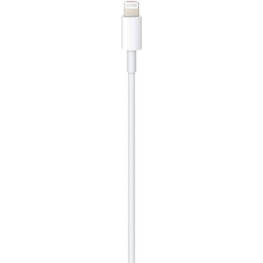 Apple Lightning to USB-C Cable (3.3 ft) DailySale