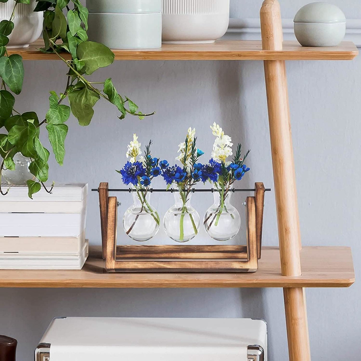 Desktop Glass Bulb Planter DailySale