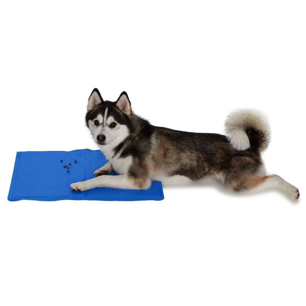 EZ-PET Pressure Activated Gel Technology Cooling Mat DailySale