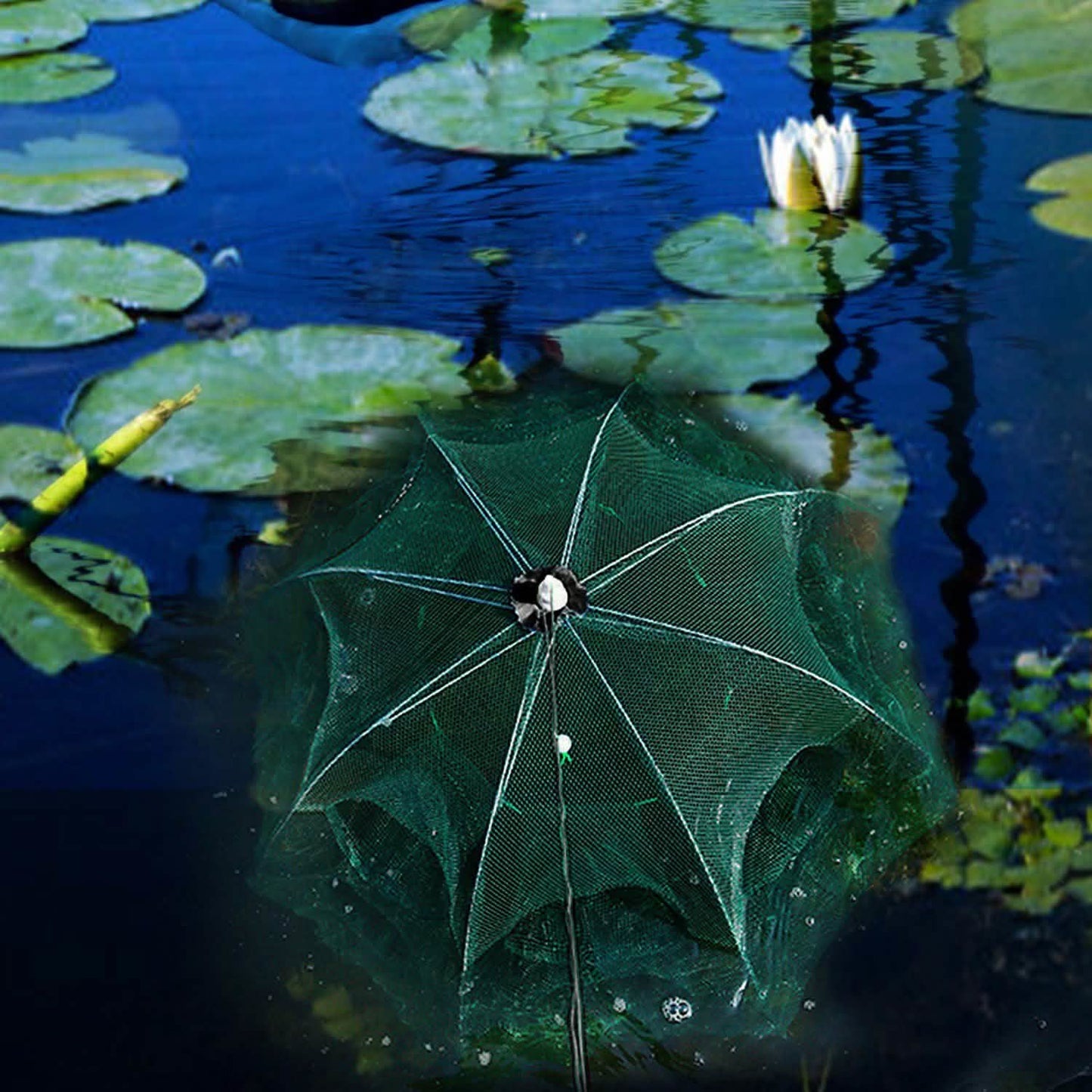 Fishing Trap Net Portable - Fishing Bait Trap DailySale