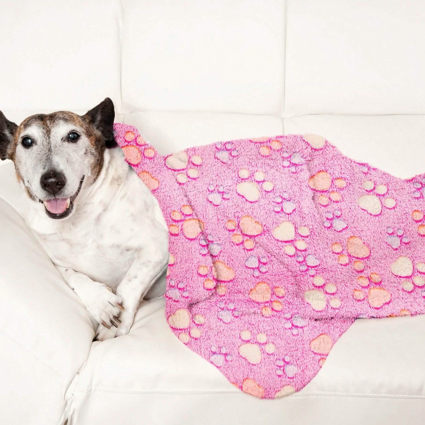 Fluffy Dog Cat Blanket DailySale