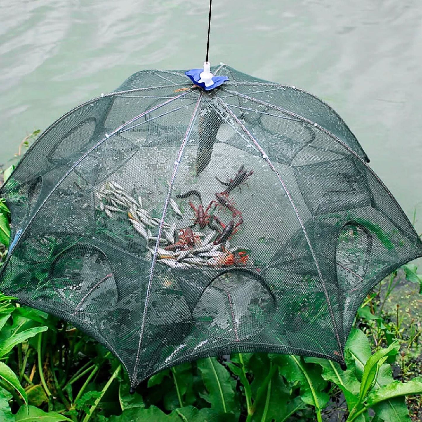Foldable Fishing Bait Net Trap DailySale