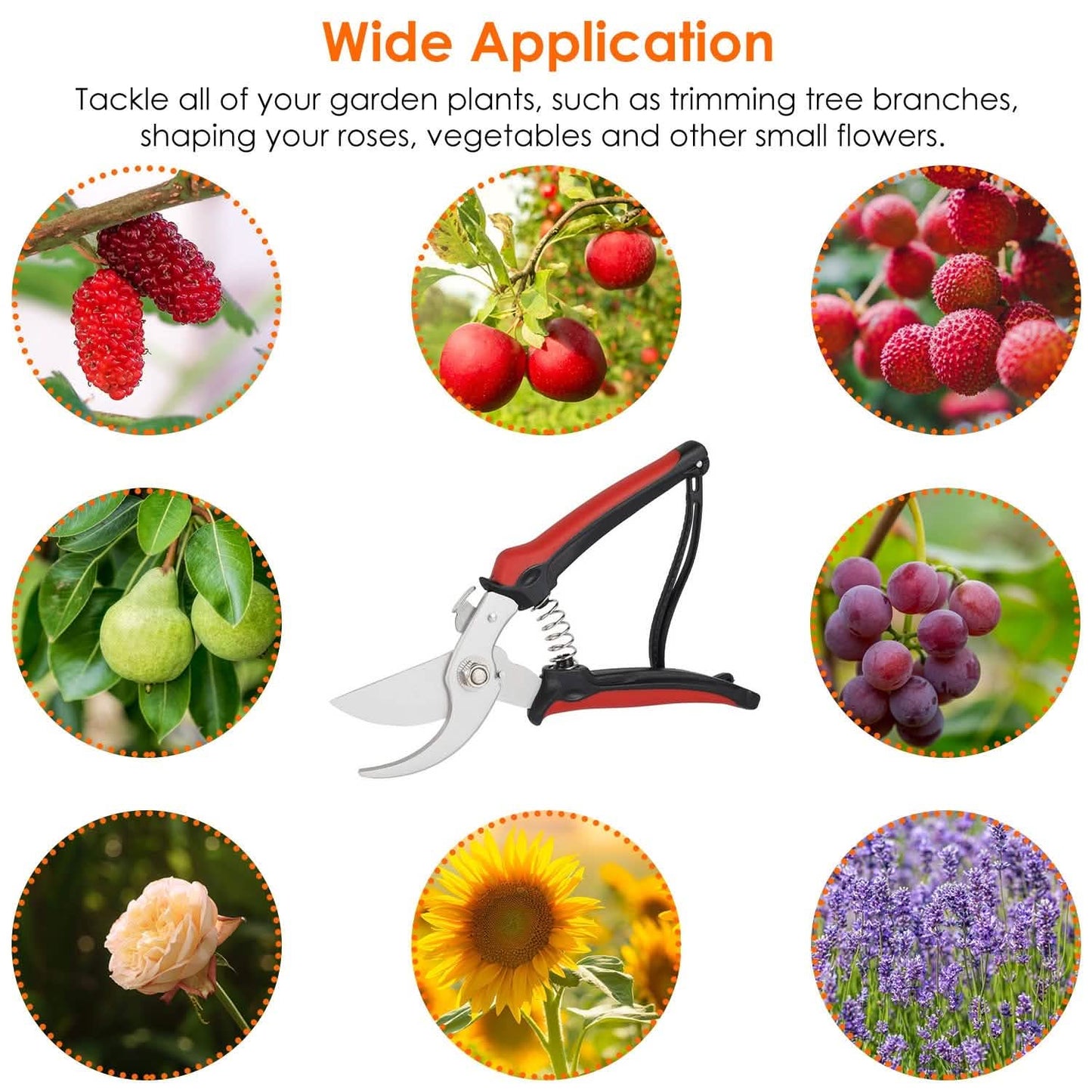 Garden Prune Shears DailySale