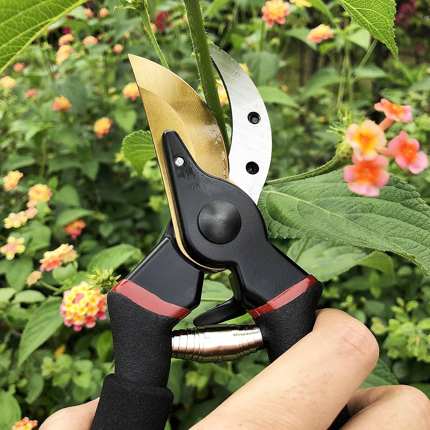 Gonicc 8" Professional Premium Titanium Bypass Pruning Shears DailySale