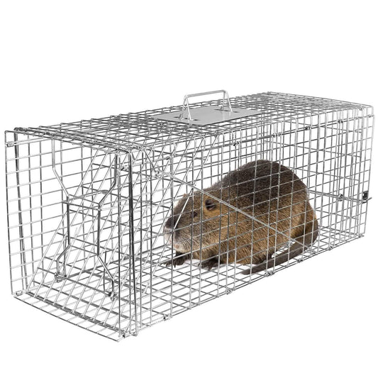 Humane Catch Release Live Animal Collapsible Galvanized Wire Trap Cage DailySale