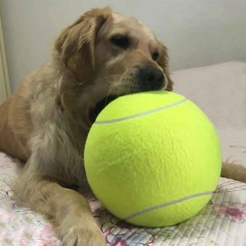 Jumbo Tennis Ball for Autographs, Dogs and Kids DailySale