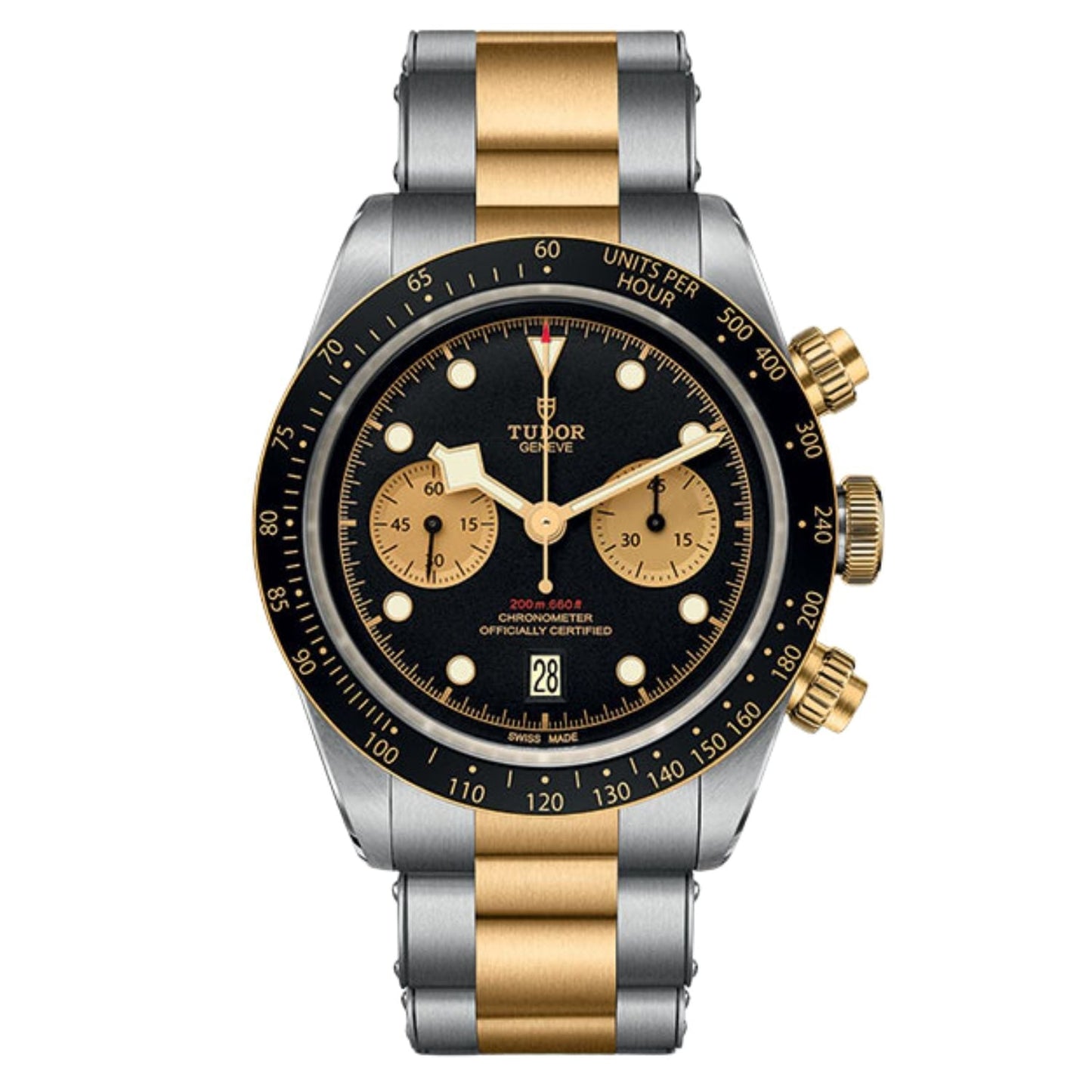 Tudor Men's Black Bay Bids.com