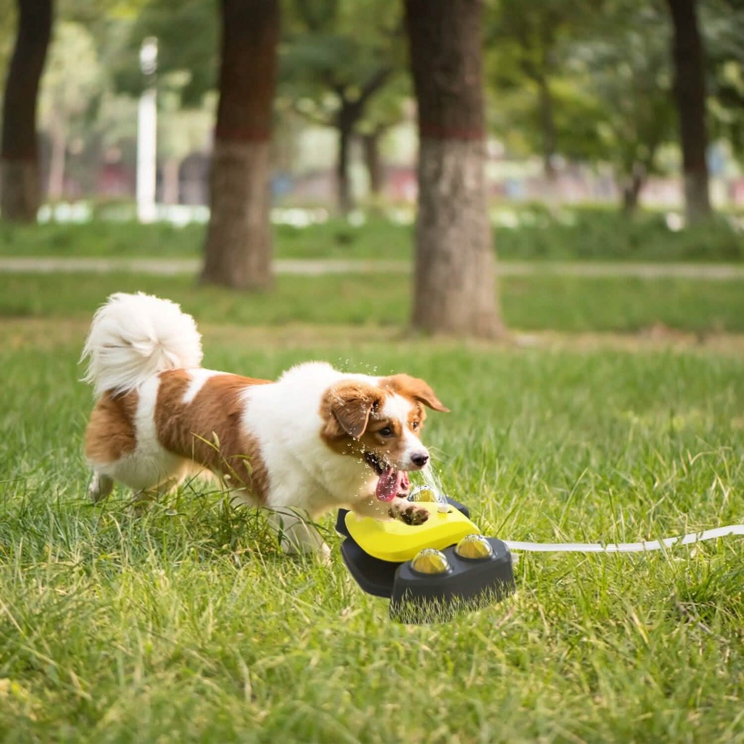 Multifunctional Automatic Pet Water Dispenser Outdoor Step-on Activated Sprinkler DailySale