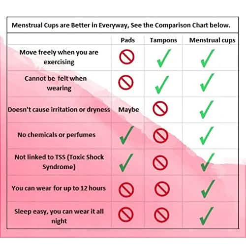 NezBling Menstrual Cup DailySale