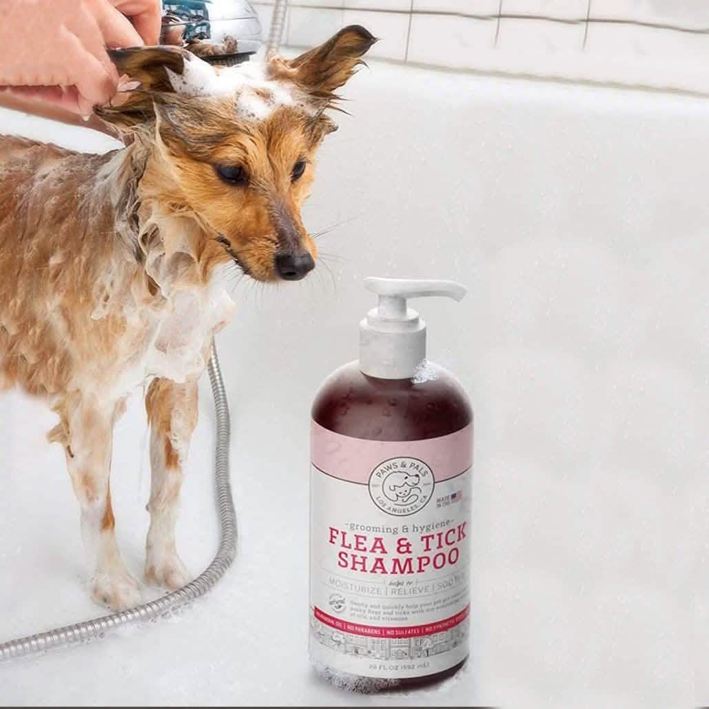 Paws & Pals Flea and Tick Shampoo for Dogs & Cats DailySale