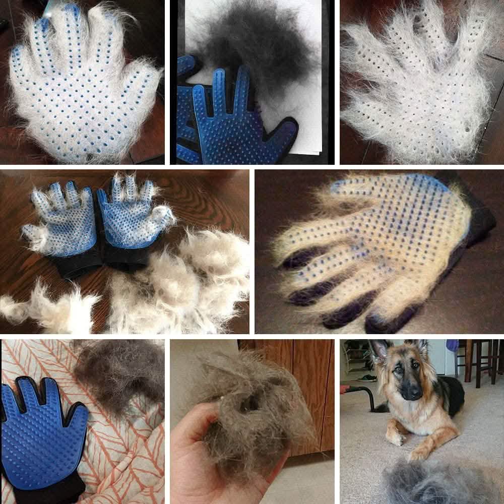 Pet Grooming Gloves DailySale