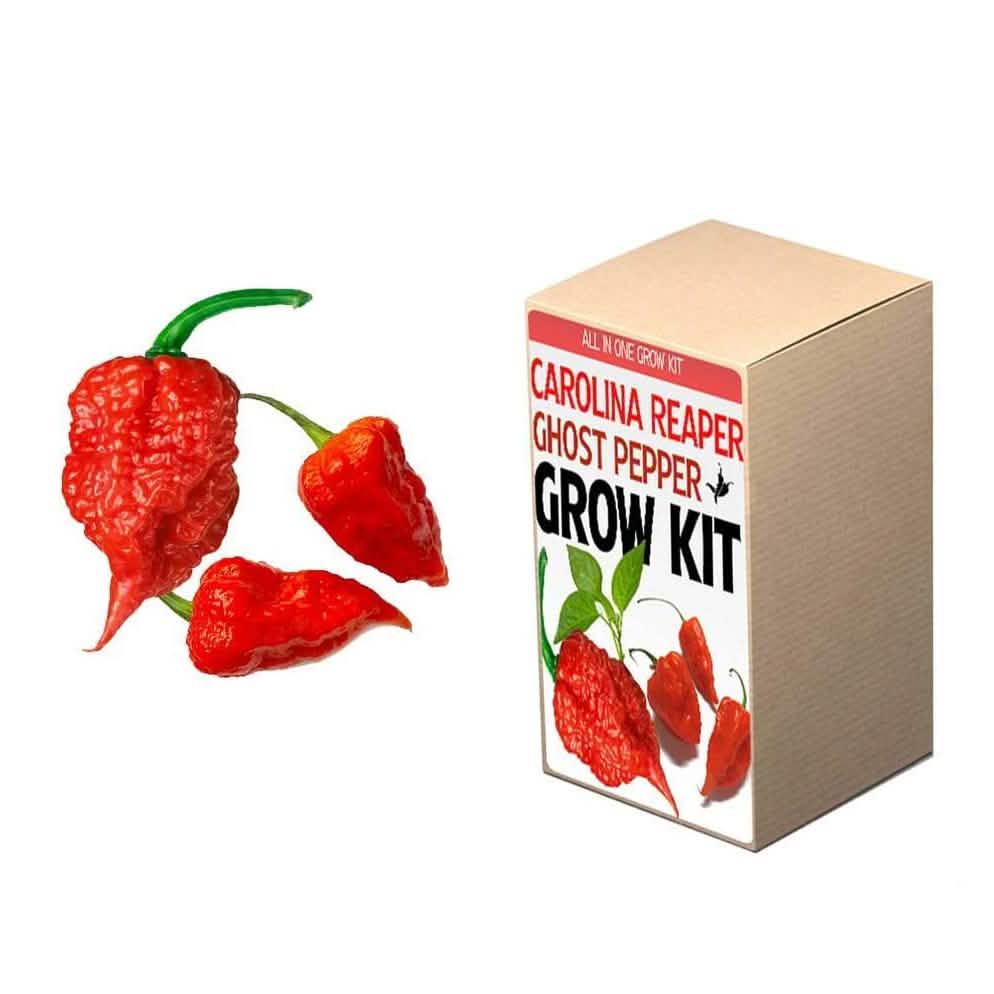Plant Your Own Garden Grow Kit DailySale