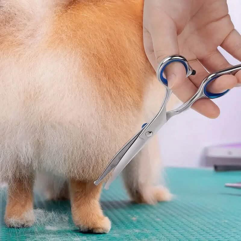 Premium Pet Grooming Scissor DailySale