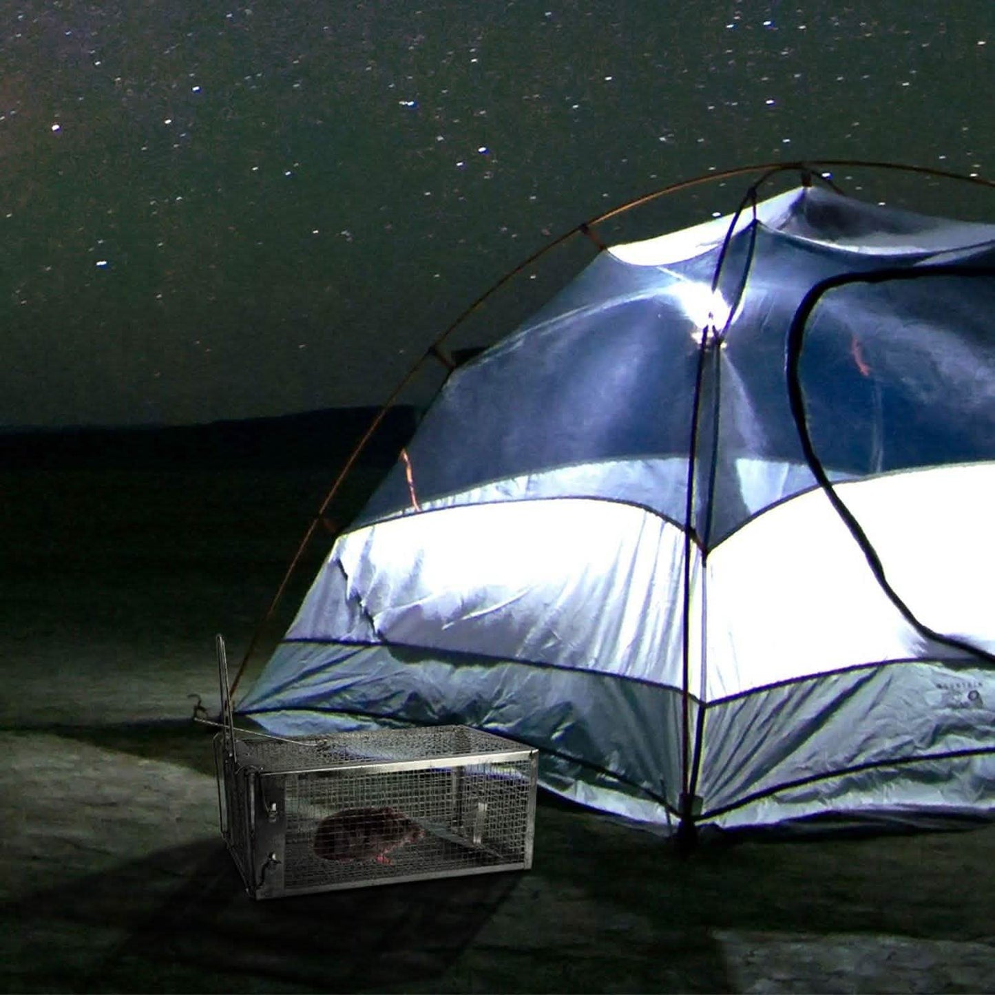 Rat Trap Cage Humane Live Rodent DailySale