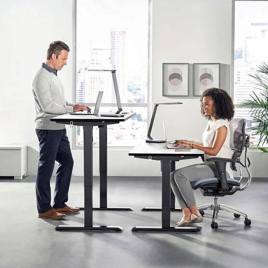TTKK Electric Standing Desk DailySale