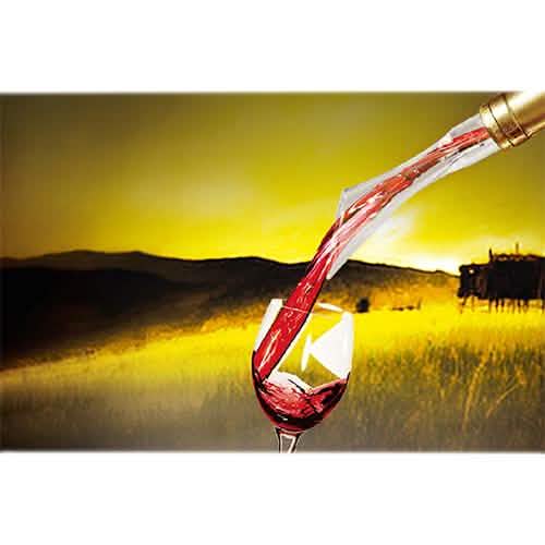 Vino Air Wine Aerator DailySale