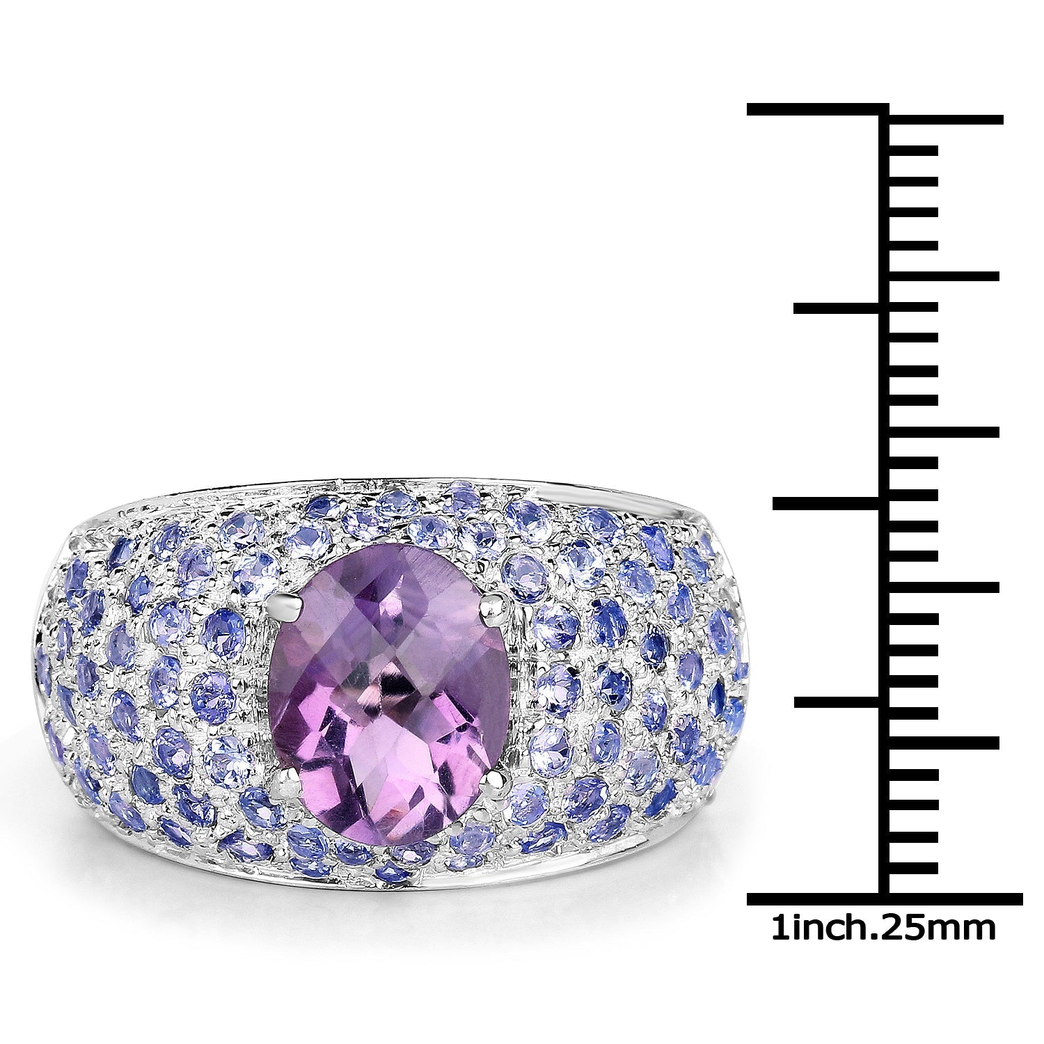 4.21 Carat Genuine Amethyst and Tanzanite .925 Sterling Silver Ring Bids.com