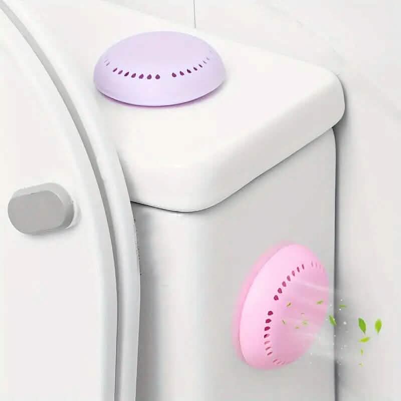 10-Pack: Long Lasting Aromatherapy Air Freshener DailySale