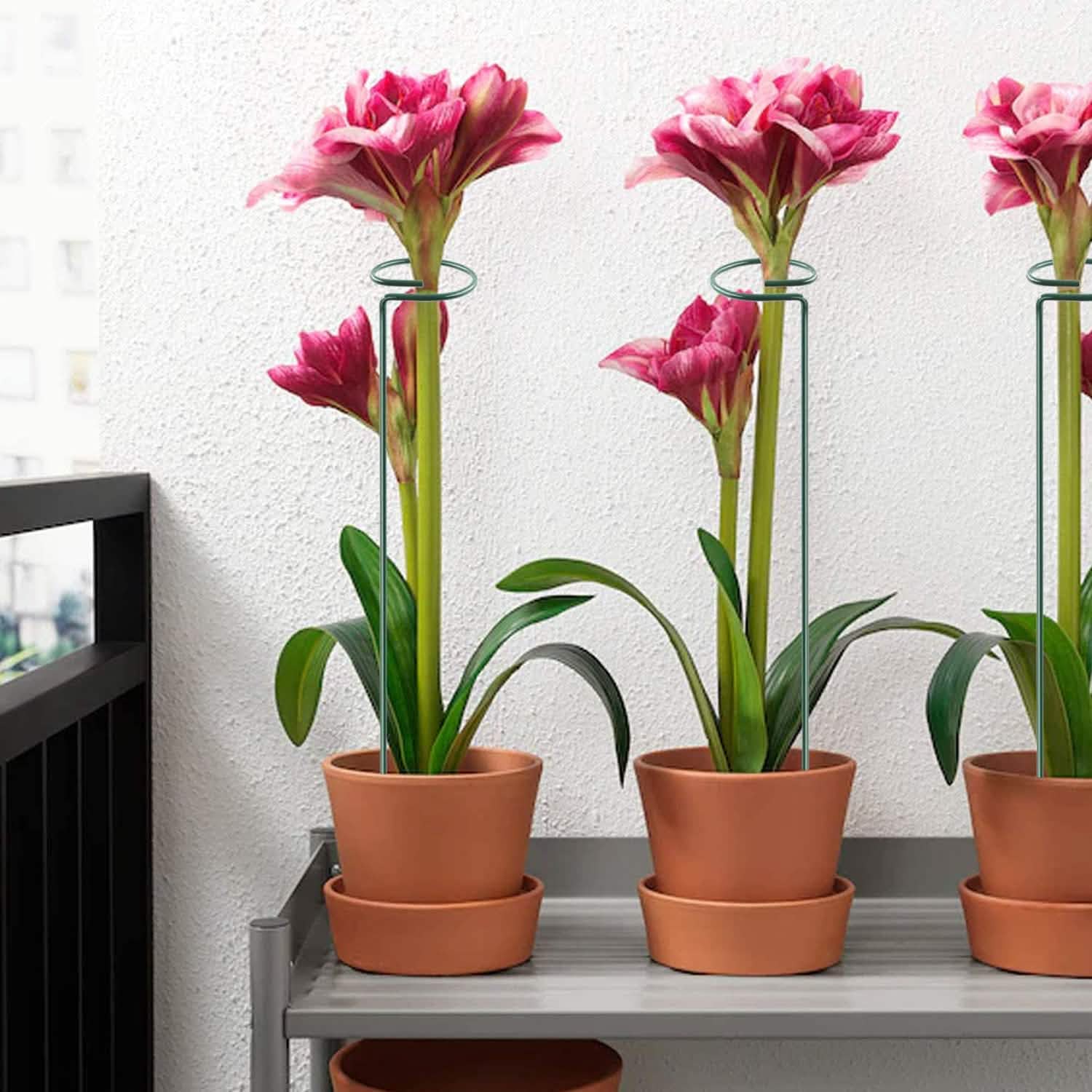 10-Pack: Plant Support Stake DailySale