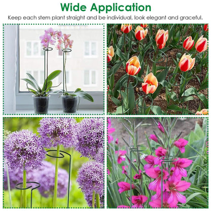 10-Pack: Plant Support Stake DailySale