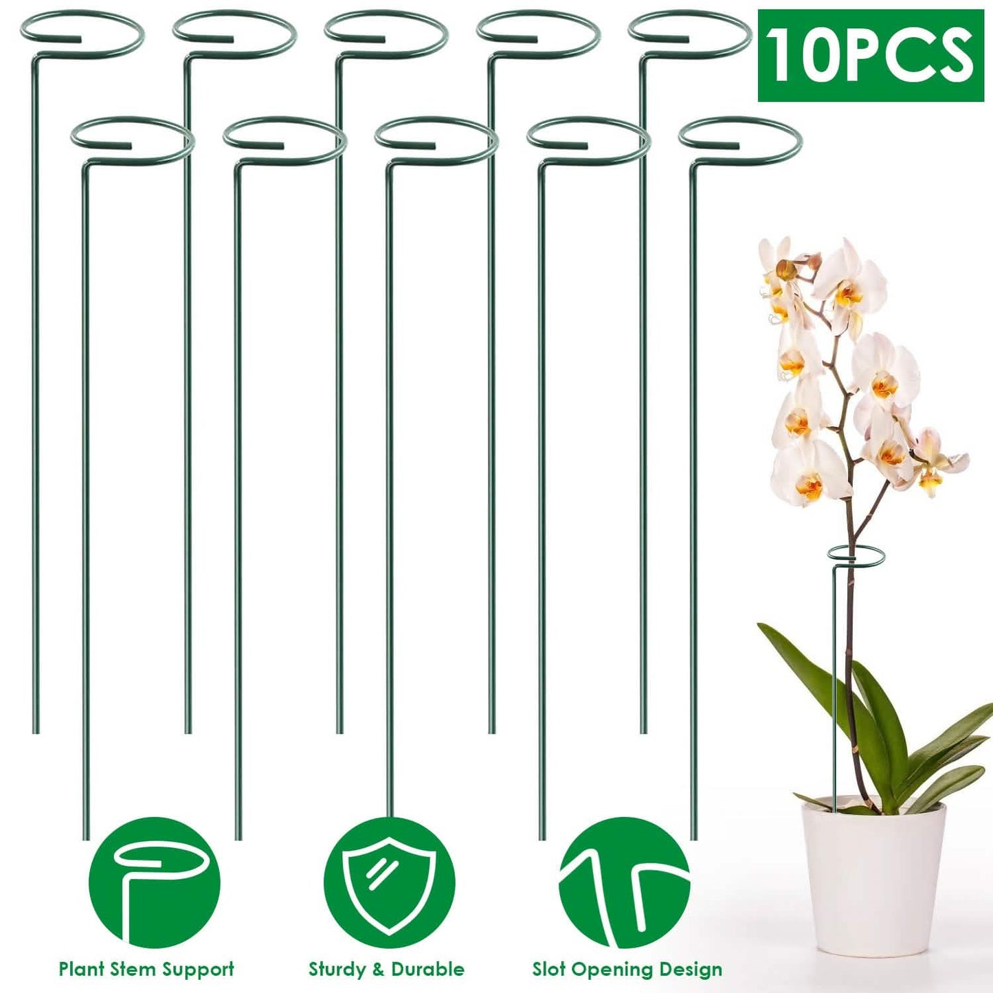 10-Pack: Plant Support Stake DailySale