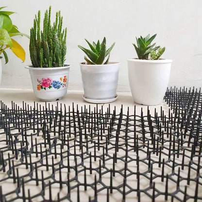 10-Piece: Cat Repellent Scat Mat with Spikes DailySale
