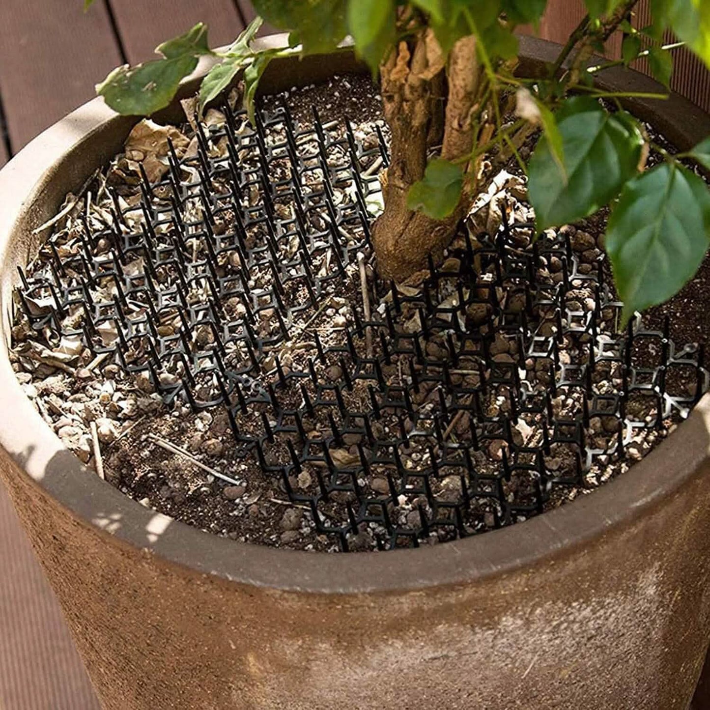 10-Piece: Cat Repellent Scat Mat with Spikes DailySale