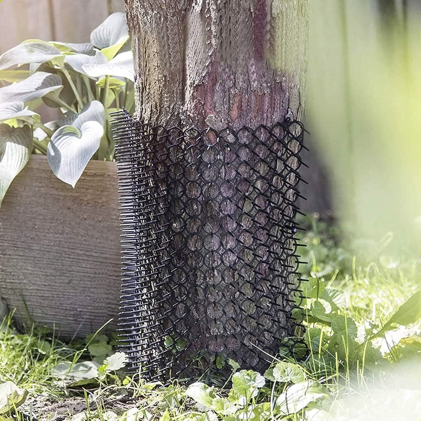10-Piece: Cat Repellent Scat Mat with Spikes DailySale