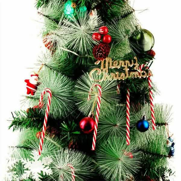 10-Piece: Plastic Candy Cane Ornaments DailySale