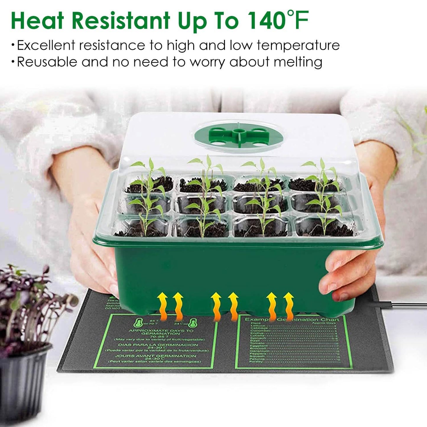 10-Piece: Reusable Seed Starter Tray Kit DailySale