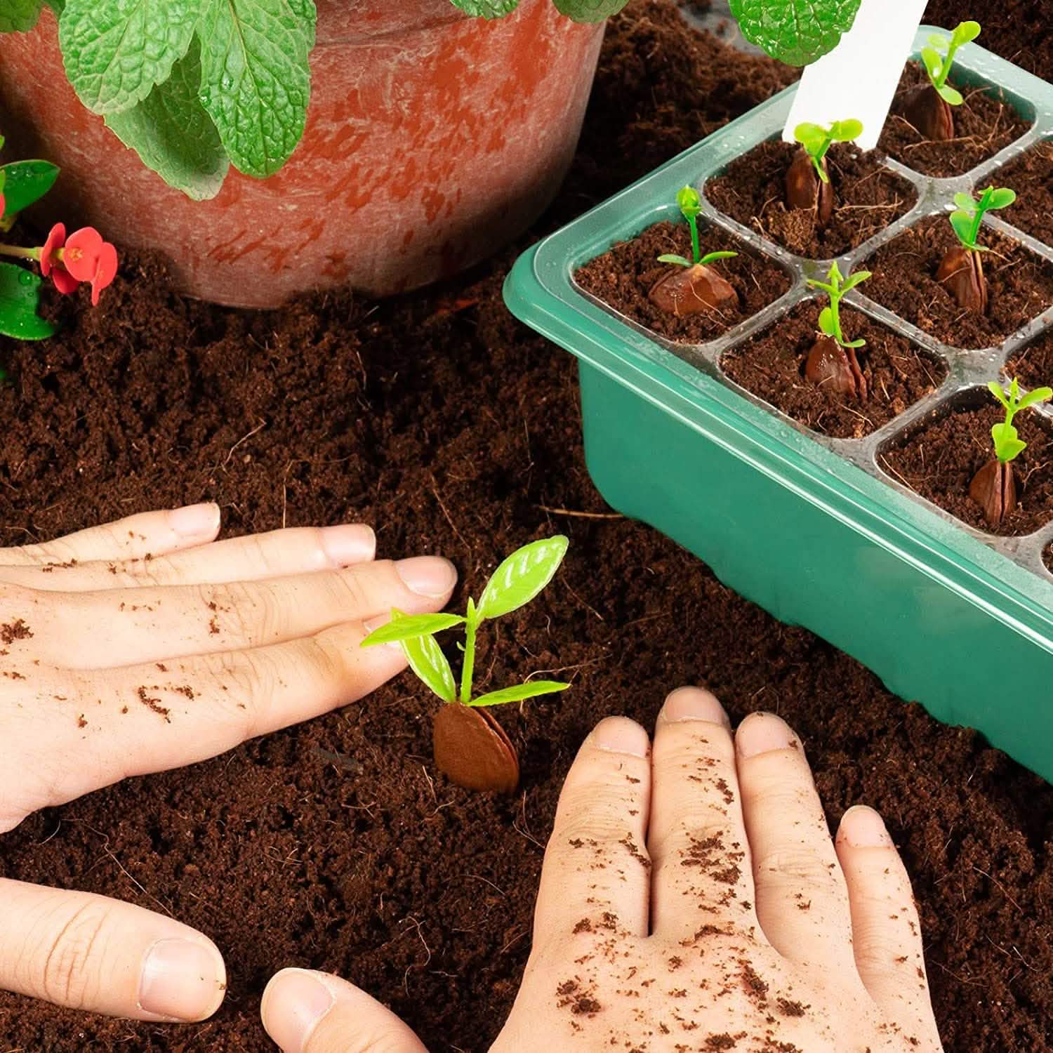 10-Piece: Reusable Seed Starter Tray Kit DailySale