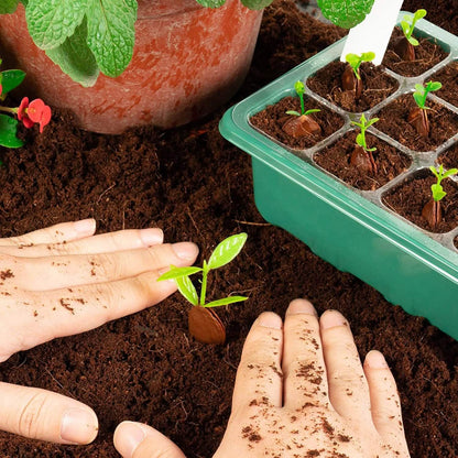 10-Piece: Reusable Seed Starter Tray Kit DailySale