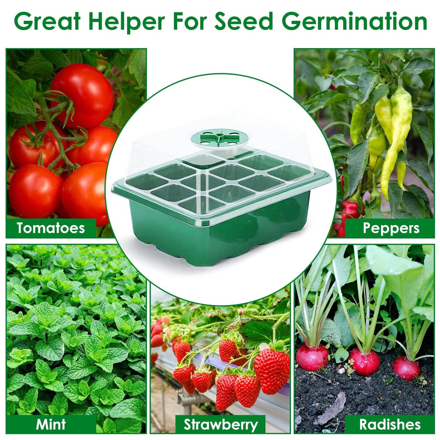 10-Piece: Reusable Seed Starter Tray Kit DailySale