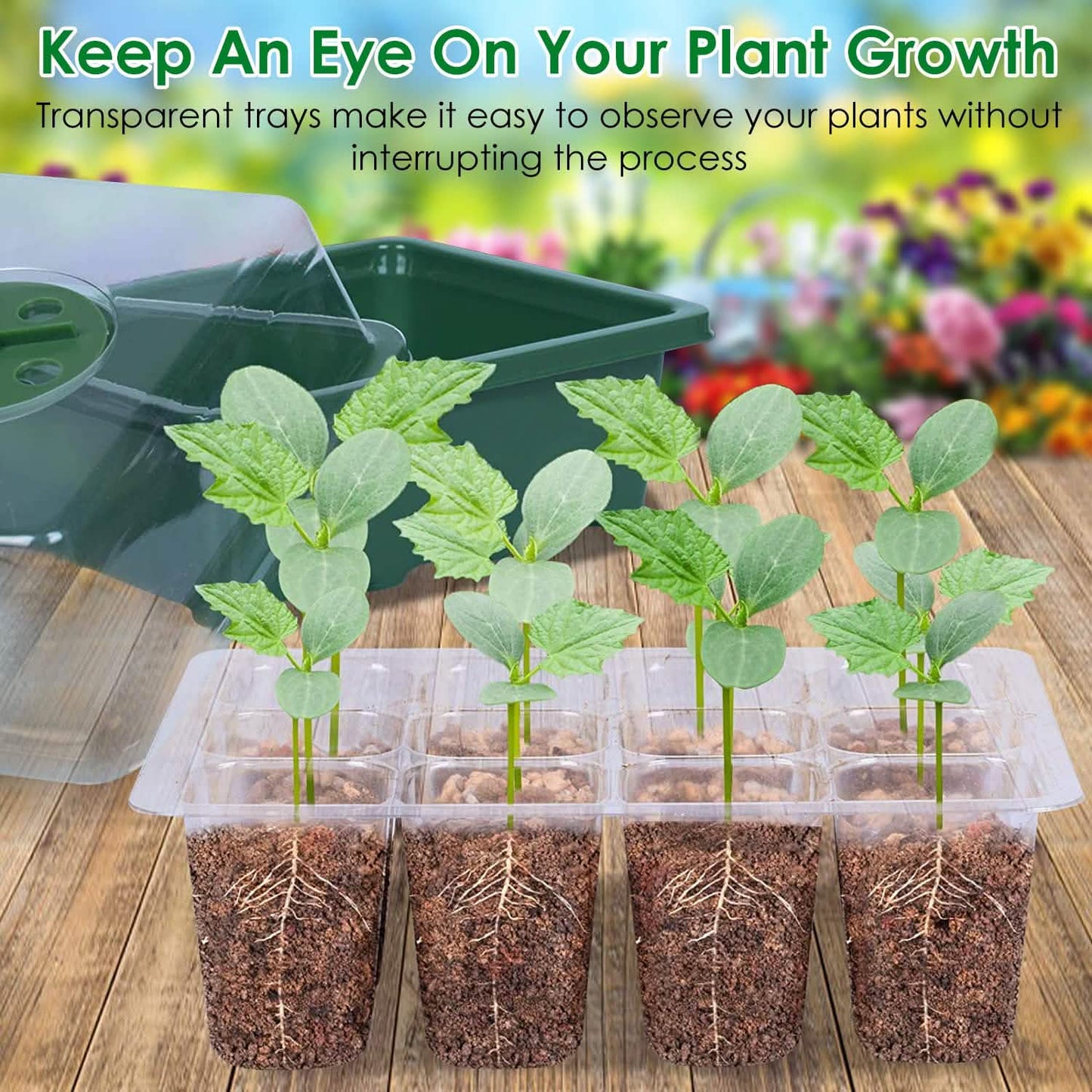 10-Piece: Reusable Seed Starter Tray Kit DailySale