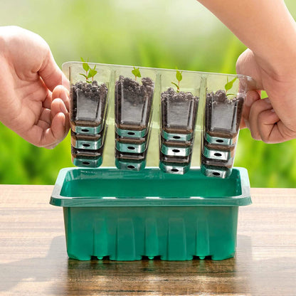 10-Piece: Reusable Seed Starter Tray Kit DailySale