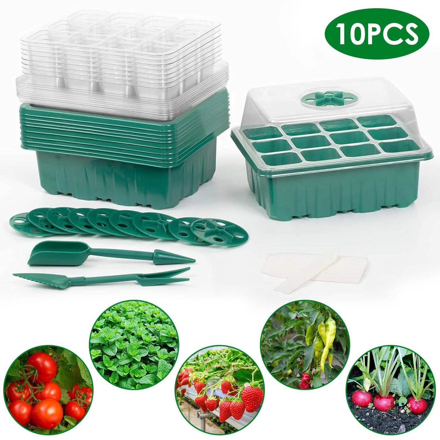 10-Piece: Reusable Seed Starter Tray Kit DailySale