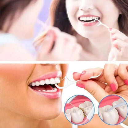 10-Piece Set: Dental Floss Travel Case-Floss Pick DailySale