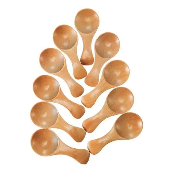 10-Pieces: Mini Wooden Spoons DailySale