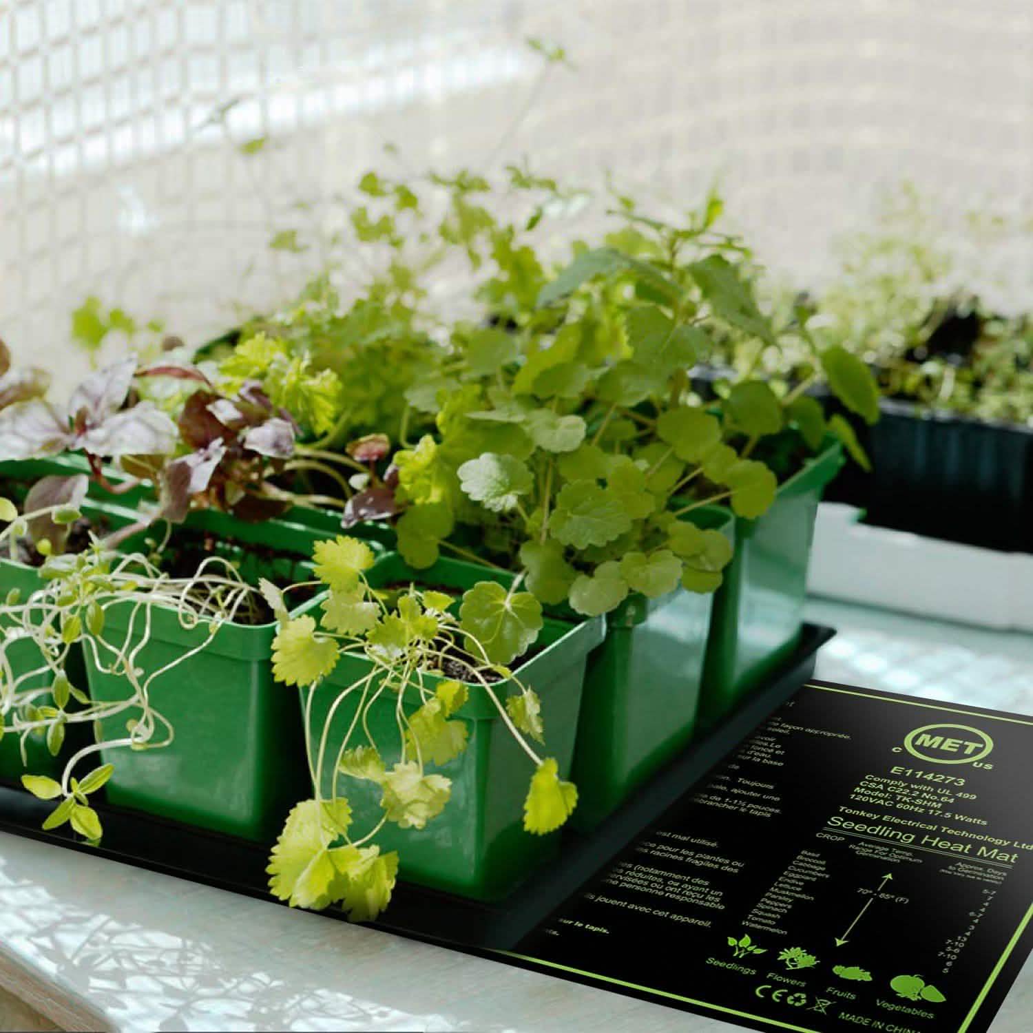 10" x 20" Seedling Heat Mat for Seed Germination DailySale