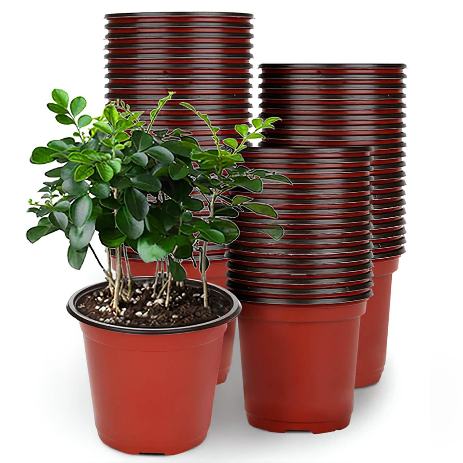 100-Piece: Plastic Plant Nursery Pots DailySale