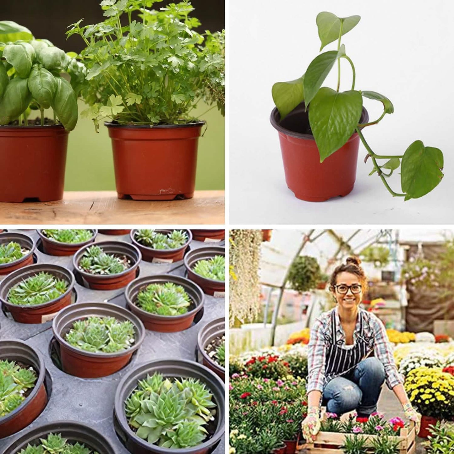 100-Piece: Plastic Plant Nursery Pots DailySale