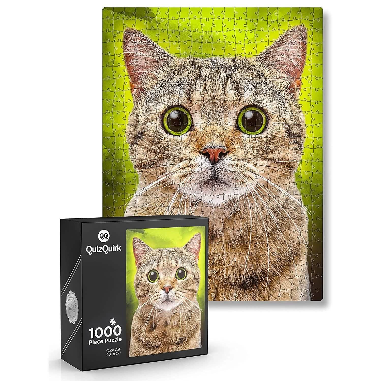 1000-Piece: Puzzle for Adults/Teens with Puzzle Saver Kit DailySale