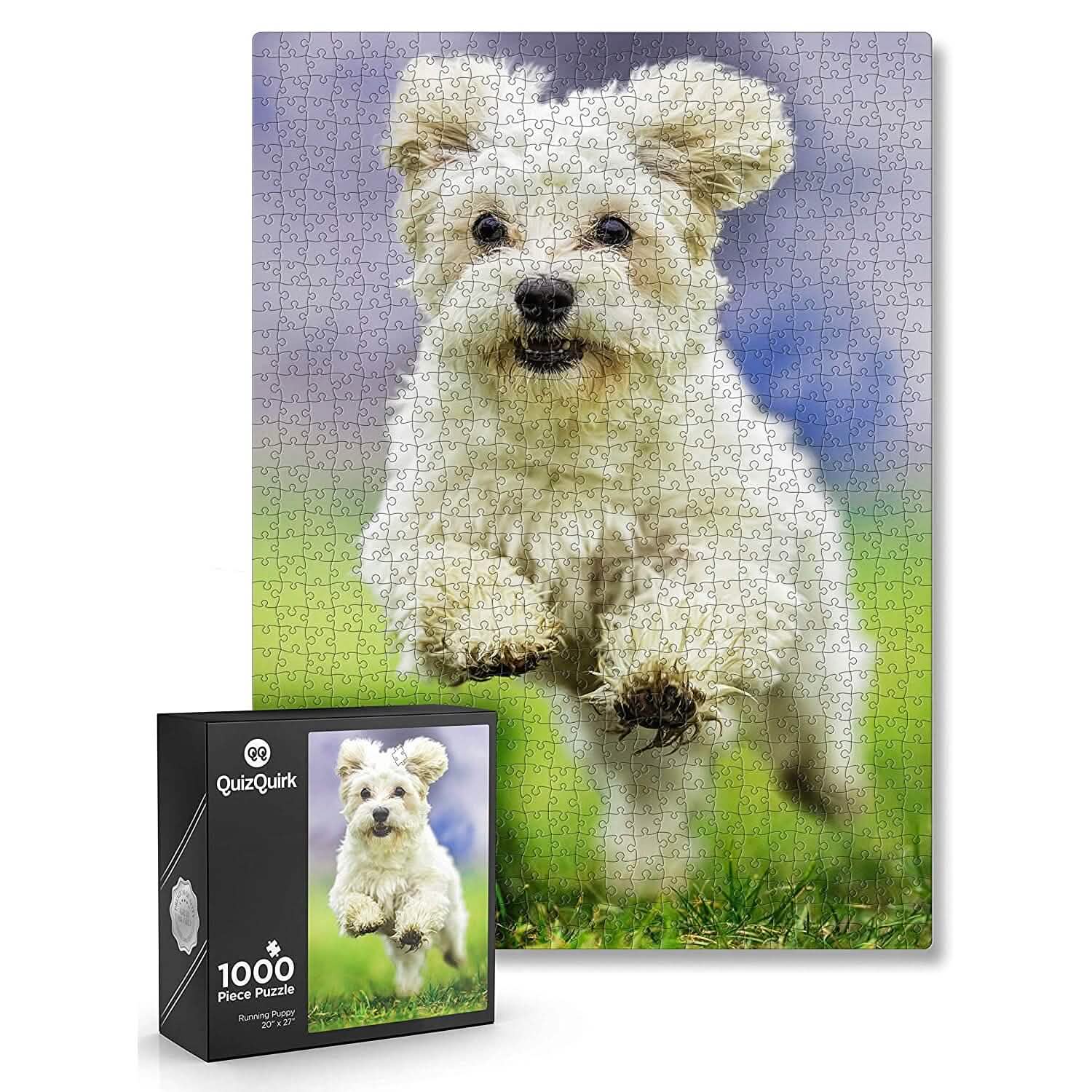 1000-Piece: Puzzle for Adults/Teens with Puzzle Saver Kit DailySale